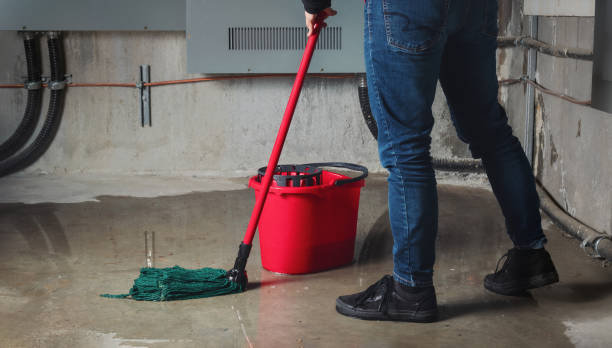 Best Sewage cleanup and water damage restoration  in St Stephens, NC