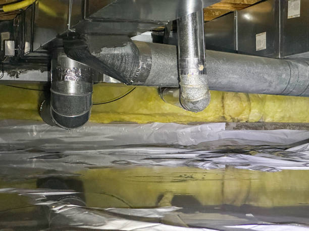 Best Water damage restoration experts  in St Stephens, NC