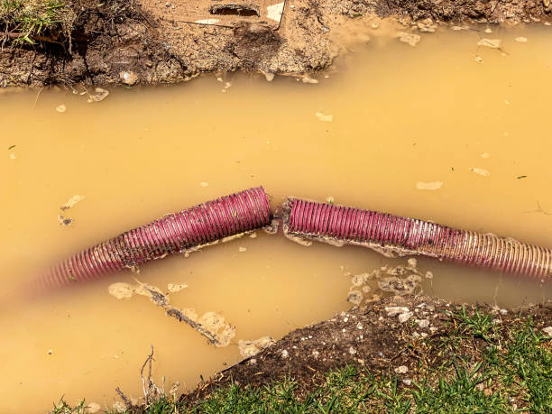 Best Flood restoration services  in St Stephens, NC